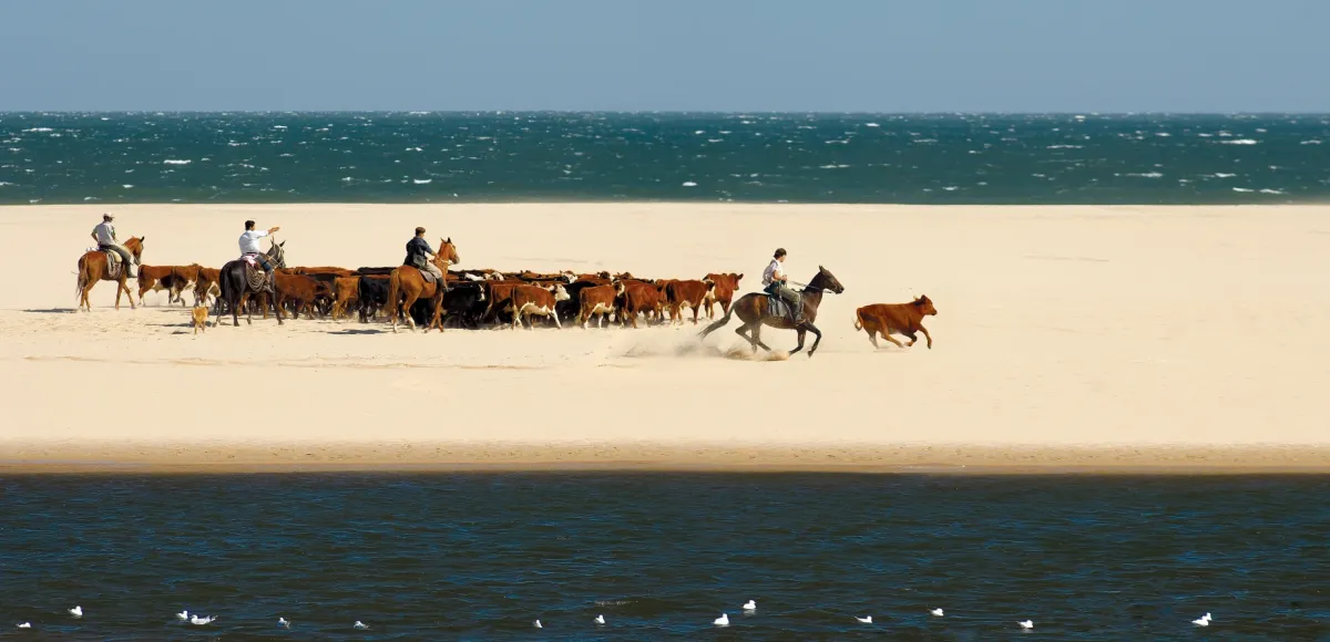 Arriero y ganado en la playa